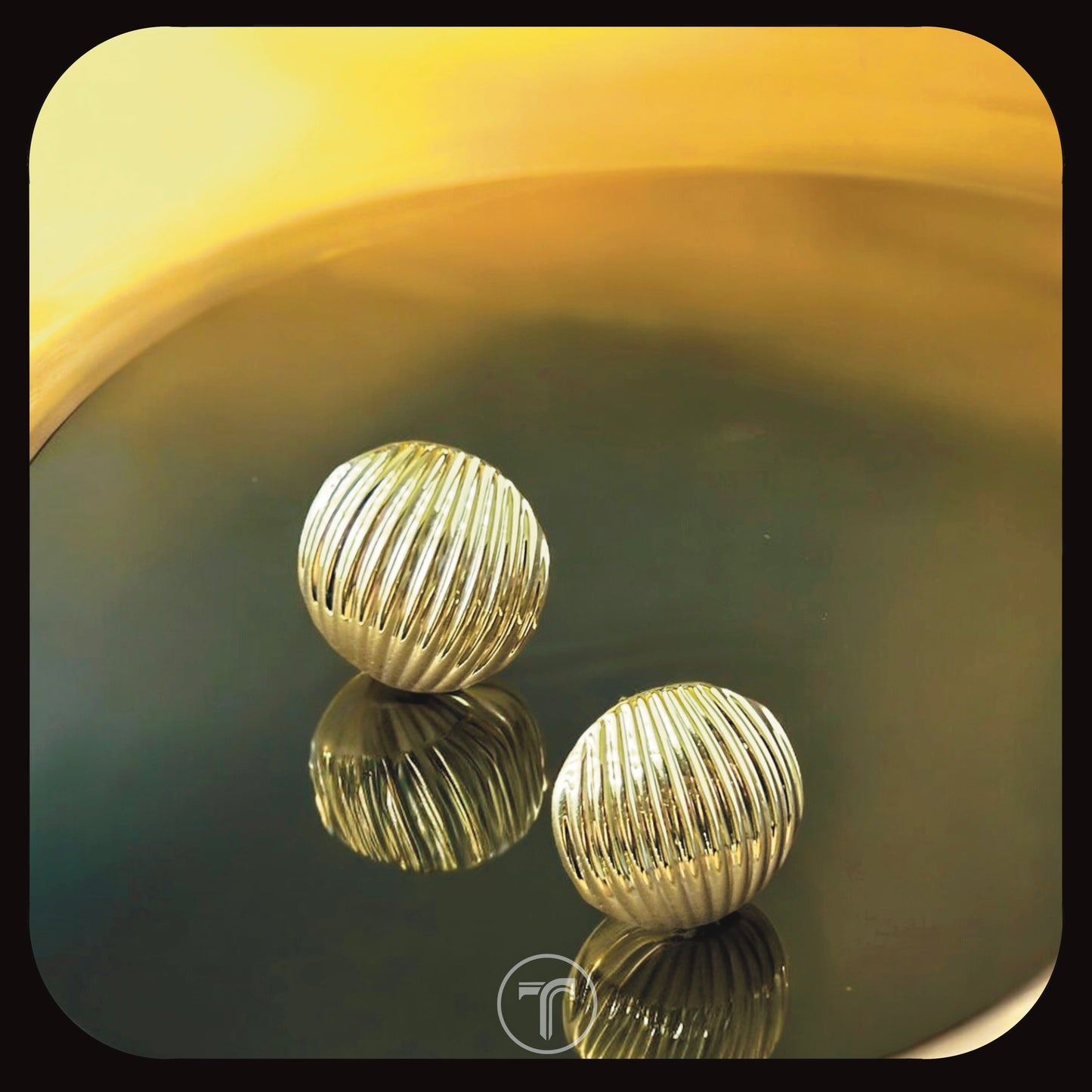 The Shell Earrings